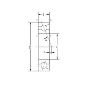 NACHI 7001C Angular Contact Ball Bearings 12 mm x 28 mm x 8 mm 