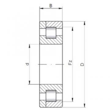 Loyal NP3221 Cylindrical Roller Bearings 105 mm x 190 mm x 65,1 mm 