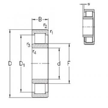 NKE NU213-E-MA6 Cylindrical Roller Bearings 65 mm x 120 mm x 23 mm 