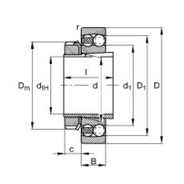 FAG 1206-K-TVH-C3 + H206 Self-Aligning Ball Bearings 30 mm x 62 mm x 16 mm 