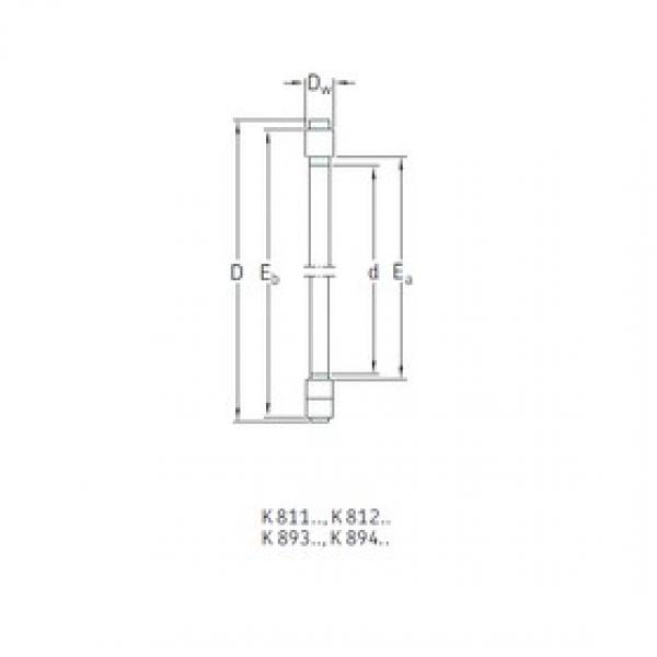 SKF K81220TN Thrust Roller Bearings