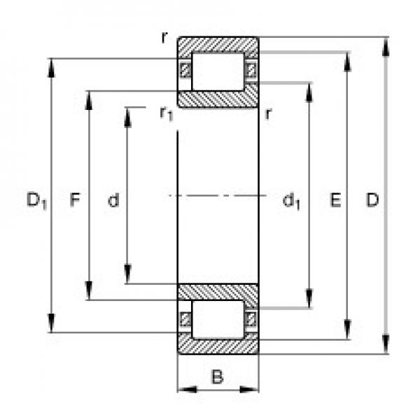 FAG NJ2224-E-TVP2 Cylindrical Roller Bearings 120 mm x 215 mm x 58 mm 