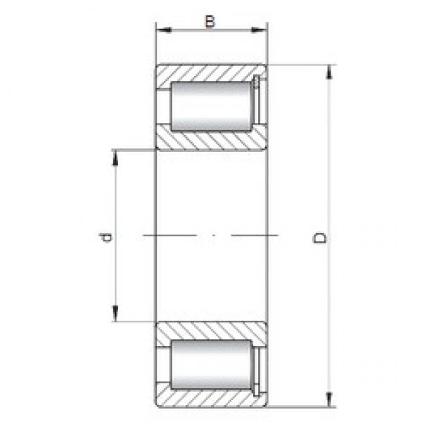 ISO NCF2930 V Cylindrical Roller Bearings 150 mm x 210 mm x 36 mm 